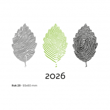 Rok 29 (za dopłatą)